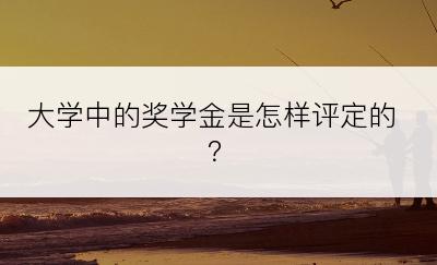 大学中的奖学金是怎样评定的？