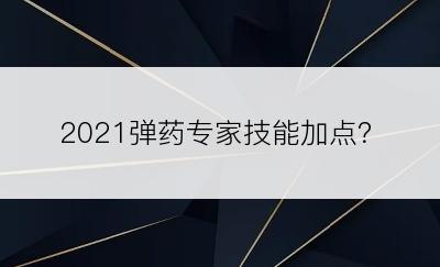 2021弹药专家技能加点？