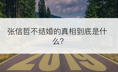 张信哲不结婚的真相到底是什么？