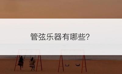 管弦乐器有哪些？