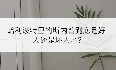 哈利波特里的斯内普到底是好人还是坏人啊？