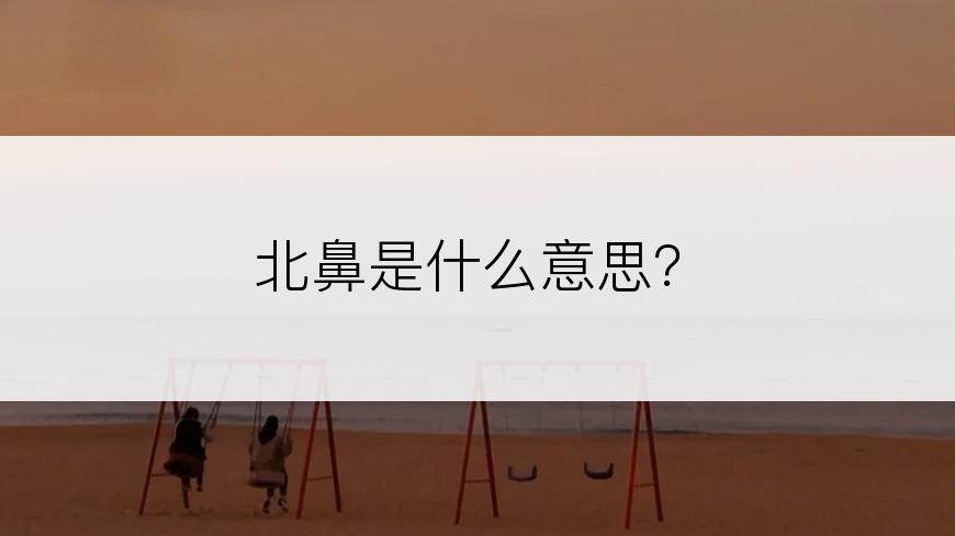 北鼻是什么意思？