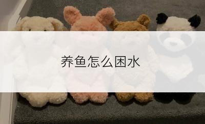 养鱼怎么困水