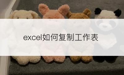 excel如何复制工作表