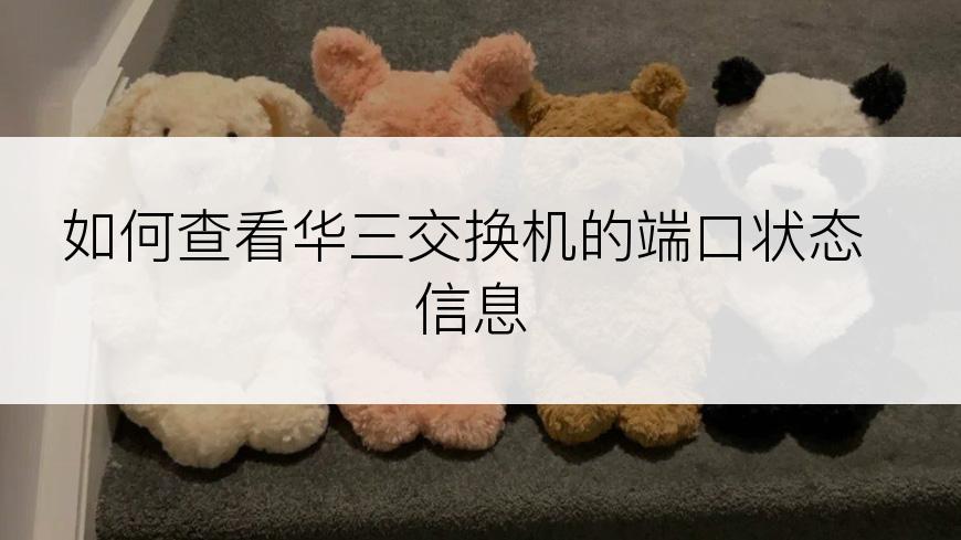 如何查看华三交换机的端口状态信息