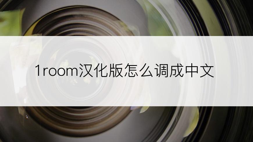 1room汉化版怎么调成中文