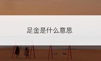 足金是什么意思