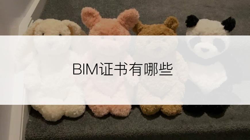 BIM证书有哪些