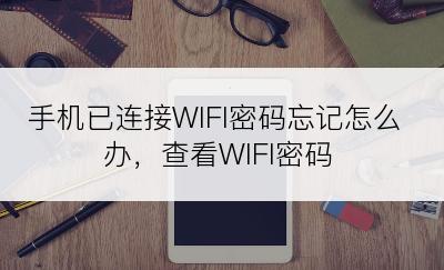 手机已连接WIFI密码忘记怎么办，查看WIFI密码