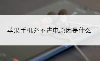 苹果手机充不进电原因是什么