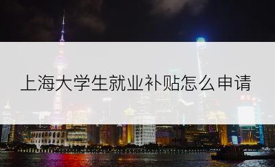 上海大学生就业补贴怎么申请