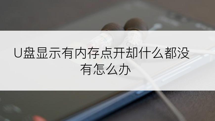 U盘显示有内存点开却什么都没有怎么办