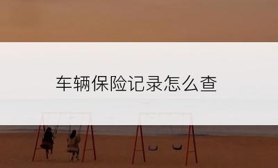 车辆保险记录怎么查