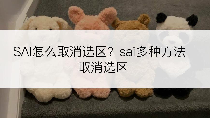 SAI怎么取消选区？sai多种方法取消选区