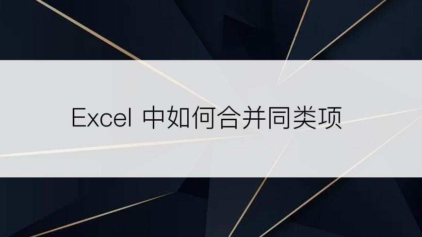 Excel 中如何合并同类项