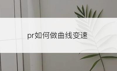 pr如何做曲线变速