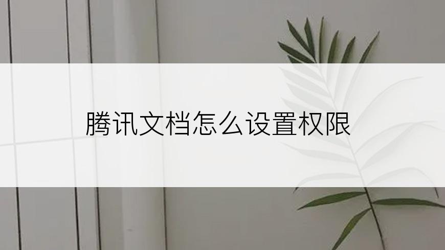 腾讯文档怎么设置权限