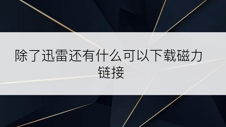 除了迅雷还有什么可以下载磁力链接