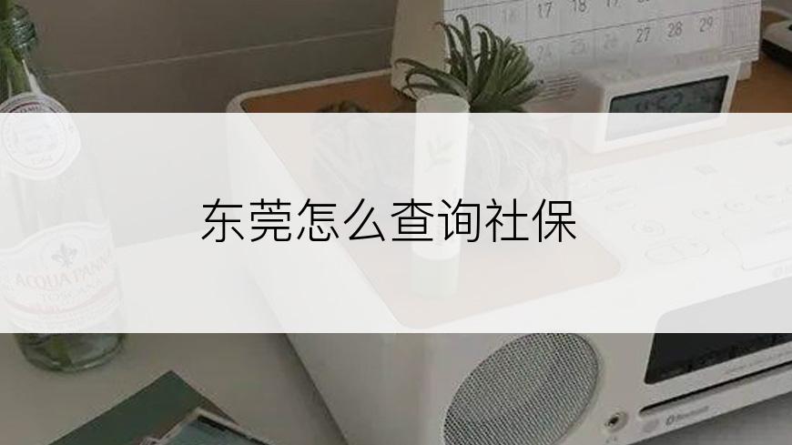 东莞怎么查询社保