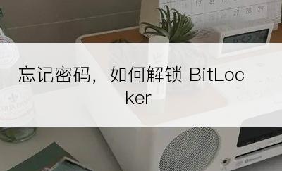 忘记密码，如何解锁 BitLocker