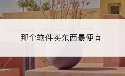 那个软件买东西最便宜