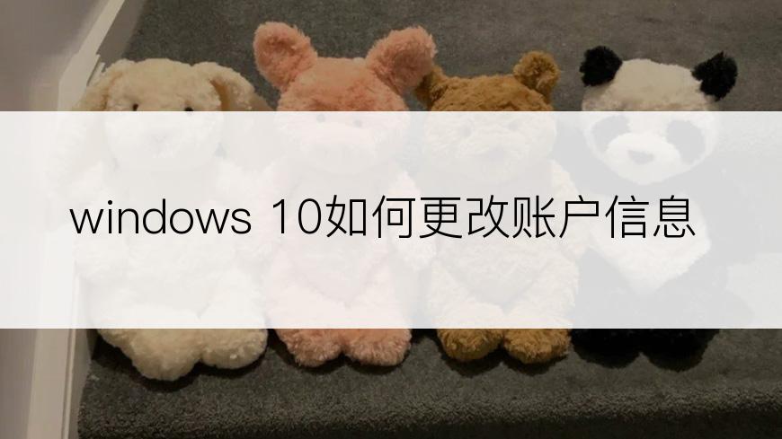 windows 10如何更改账户信息