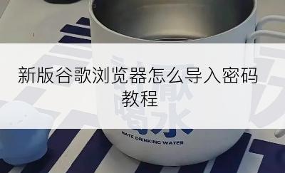 新版谷歌浏览器怎么导入密码教程