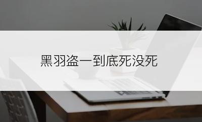 黑羽盗一到底死没死