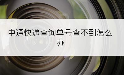 中通快递查询单号查不到怎么办