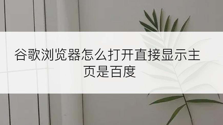 谷歌浏览器怎么打开直接显示主页是百度