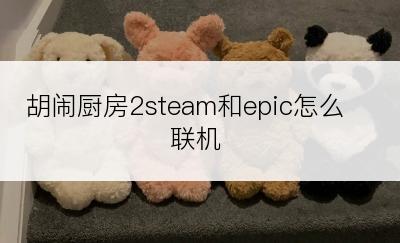 胡闹厨房2steam和epic怎么联机