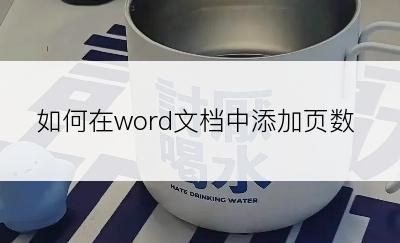 如何在word文档中添加页数