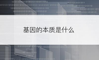 基因的本质是什么