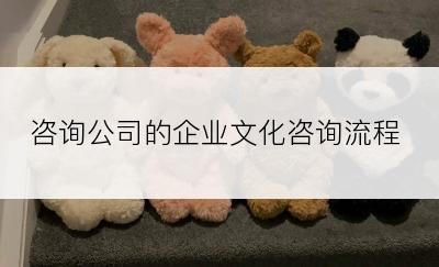 咨询公司的企业文化咨询流程