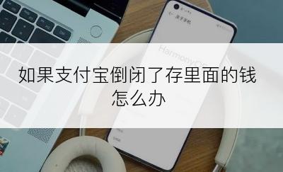 如果支付宝倒闭了存里面的钱怎么办