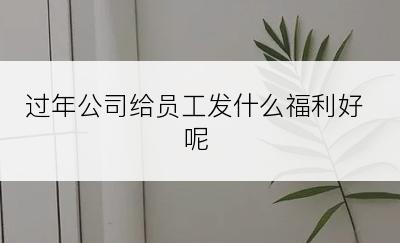 过年公司给员工发什么福利好呢