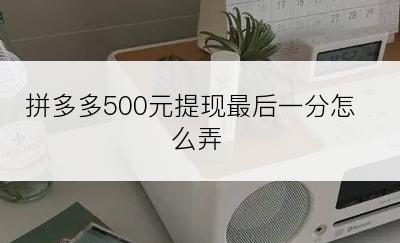 拼多多500元提现最后一分怎么弄