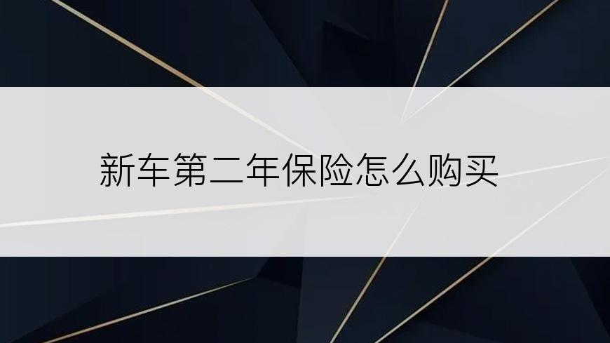 新车第二年保险怎么购买