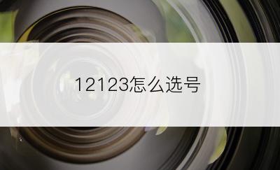 12123怎么选号