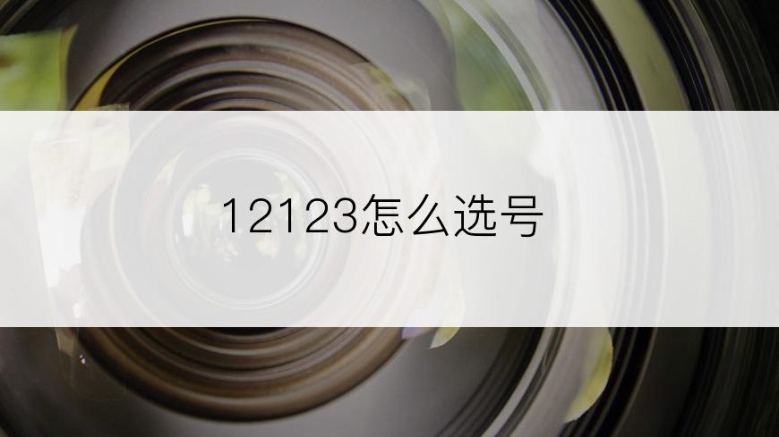 12123怎么选号