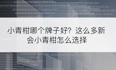 小青柑哪个牌子好？这么多新会小青柑怎么选择