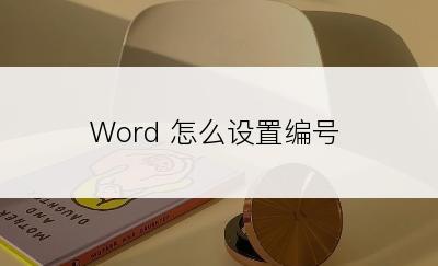 Word 怎么设置编号