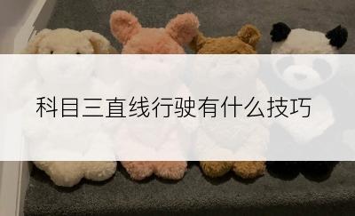 科目三直线行驶有什么技巧