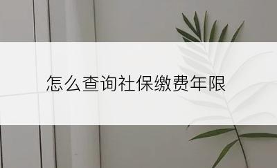 怎么查询社保缴费年限