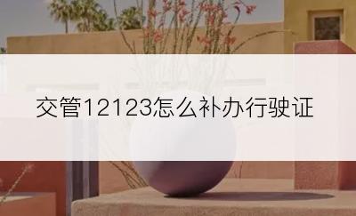 交管12123怎么补办行驶证