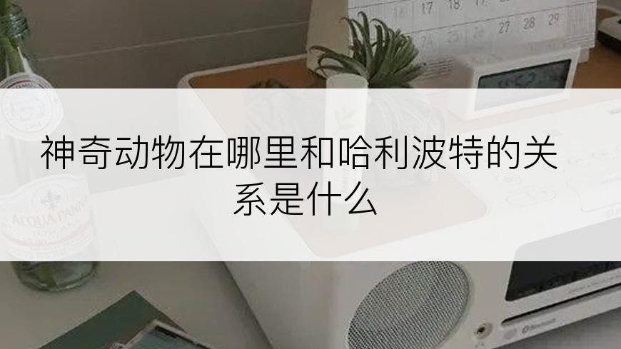 神奇动物在哪里和哈利波特的关系是什么