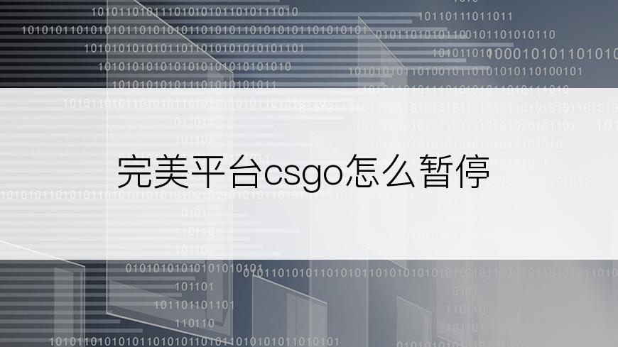 完美平台csgo怎么暂停