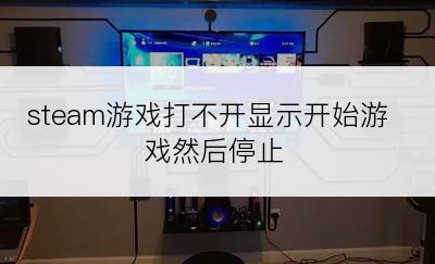 steam游戏打不开显示开始游戏然后停止