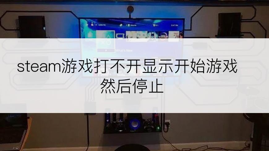 steam游戏打不开显示开始游戏然后停止