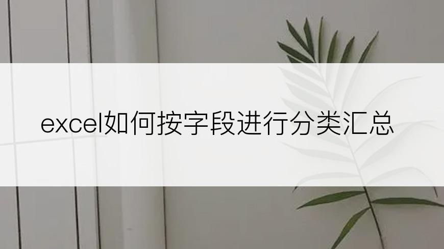 excel如何按字段进行分类汇总